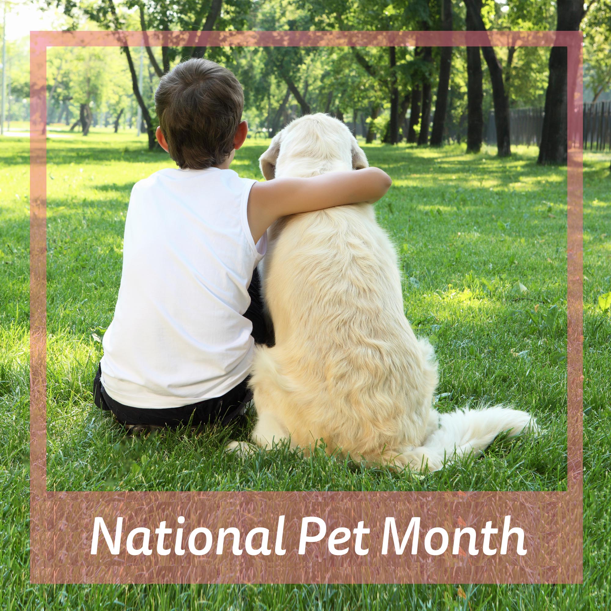 Spoil Your Pet During National Pet Month QD Stores Blog