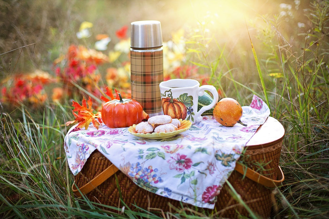 A Guide To Enjoying The Perfect Family Picnic