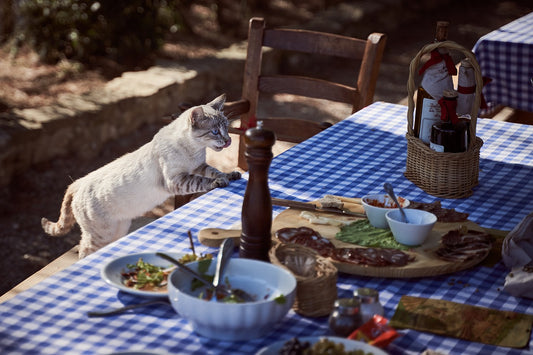 How to create a perfect outdoor dining space