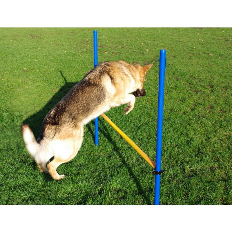 Dog Agility Hurdle Jump by Pet Brands