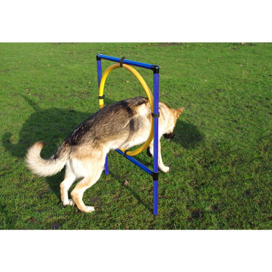 Dog Agility Hood Jump by Pet Brands