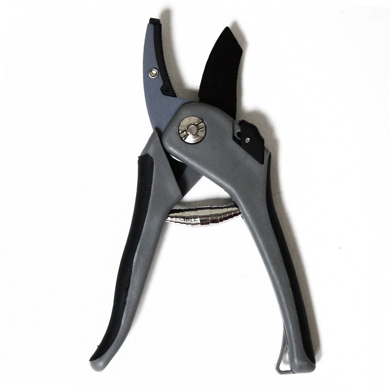 Growing Patch 8 inch Anvil Secateurs