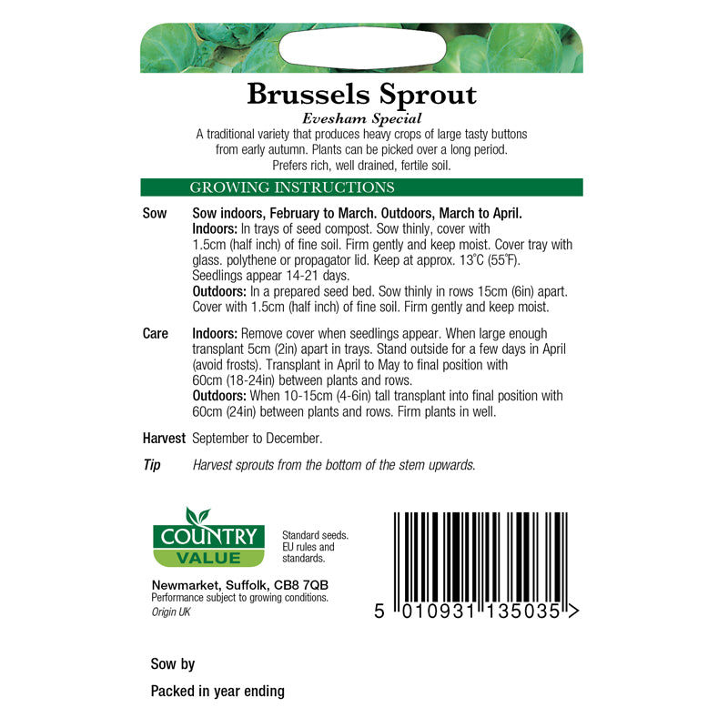 Country Value Brussels Sprout Evesham Seeds