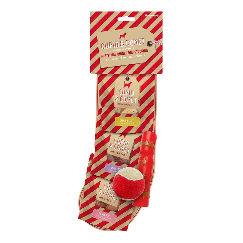 Dog Treats And Toys Christmas Dinner Stocking 120g