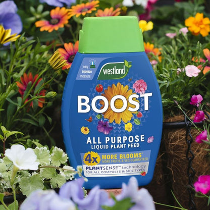 Westland Boost All Purpose Liquid Plant Feed - 1 litre