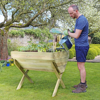 Garden Trough Planter by Zest