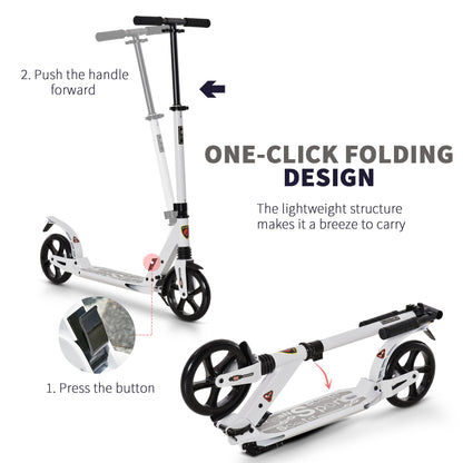 Foldable Kick Scooter