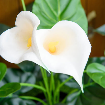 Set of 2 Artificial Realistic Calla Lily Flower