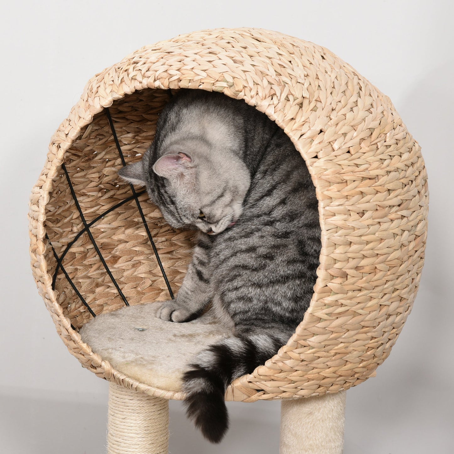 PawHut Cat Tree for Indoor Cats 100cm Kitten Climbing Tower Activity Center with Sisal Scratching Post Condo Perch Hanging Balls Teasing Rope Toy Cushion