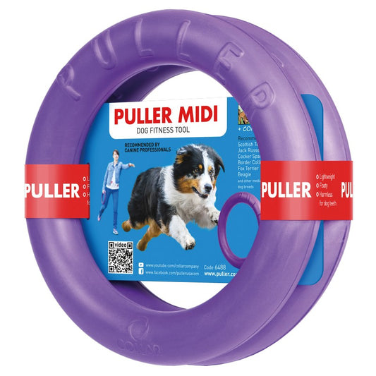 Small Dog Frisbee Purple Plastic 20cm by PULLER