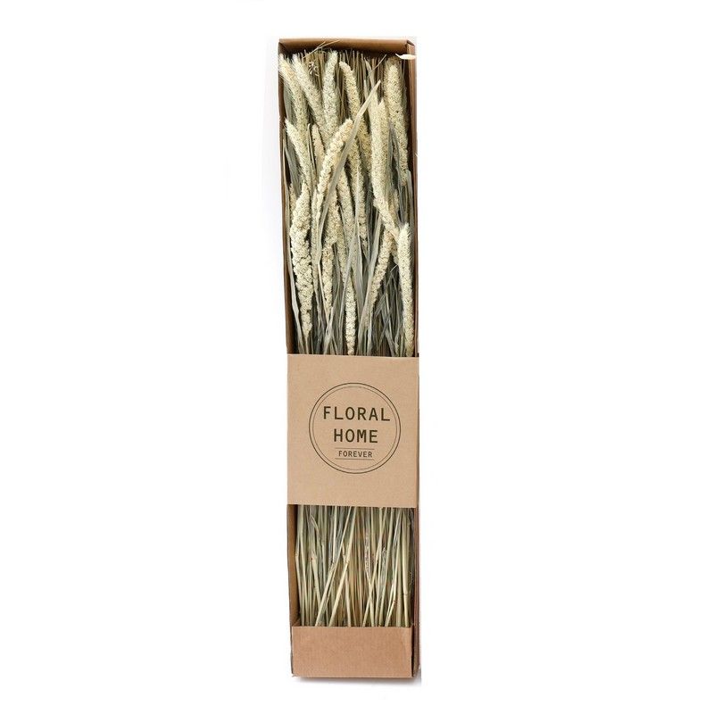 Decorative Dried Grass 60cm