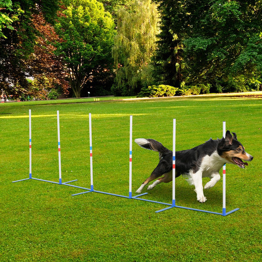 PawHut Dogs Agility Training Polyethylene Weave Poles White/Blue