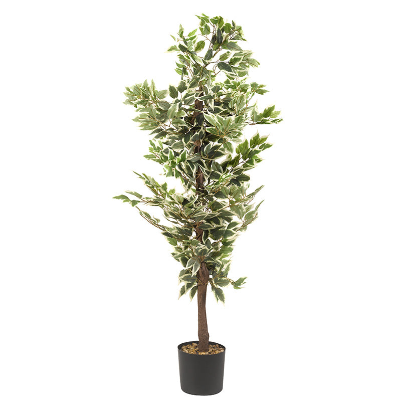 Ficus Artificial Tree - 156cm