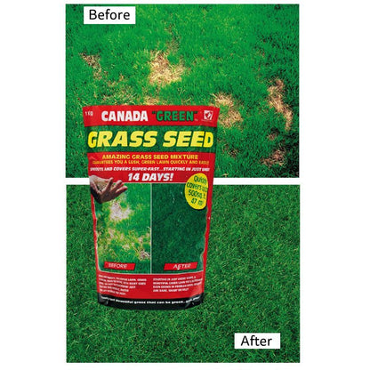 Canada Green Grass Seed 1Kg 47 Square Metres Coverage