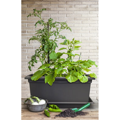 Gardenico Self-Watering Mobile Living Wall Kit - 80cm - Stone Grey