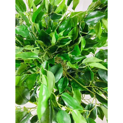 Twisted Trunk Ficus Tree Artificial Plant Green - 137cm