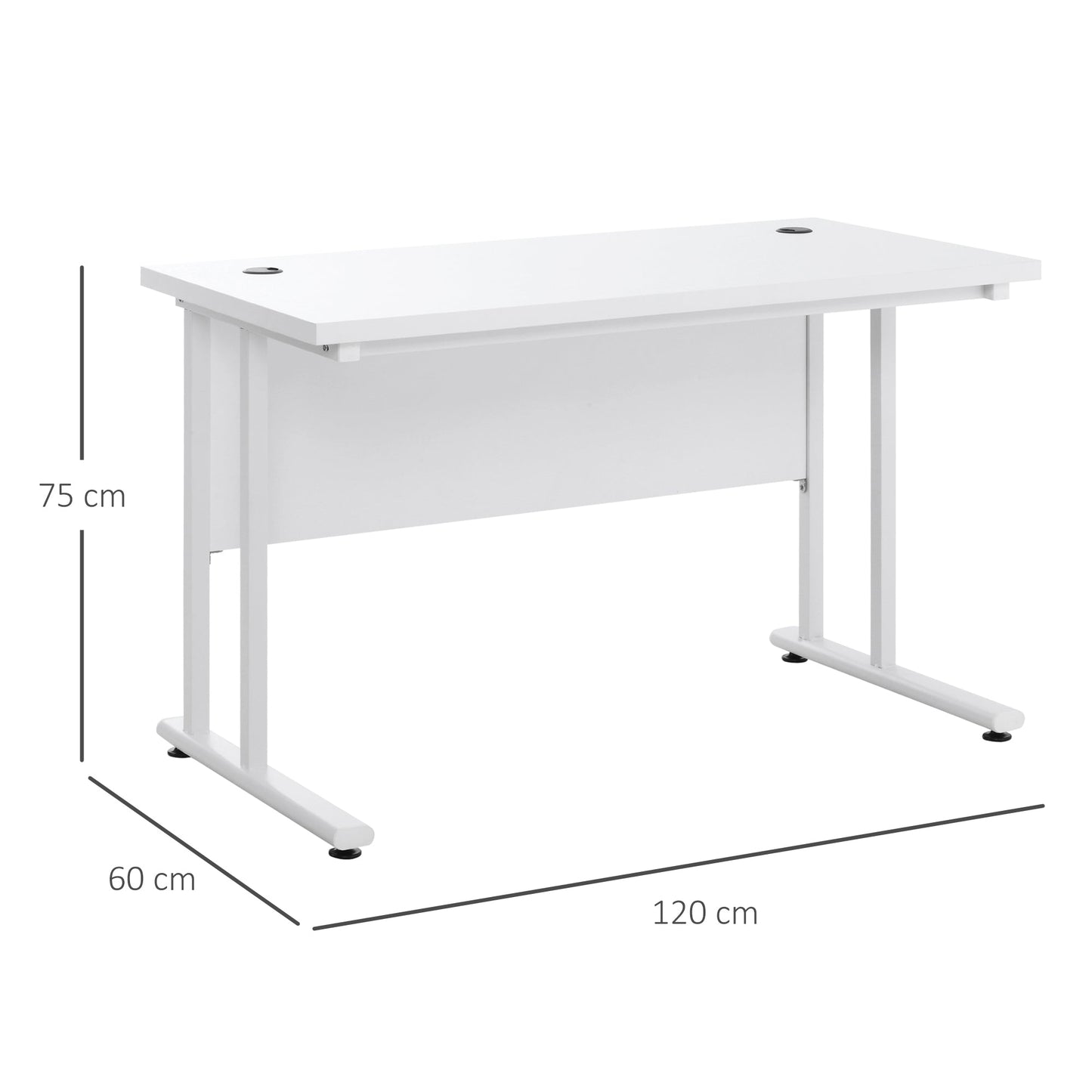 Computer Desk Home Office Desk with 2 Cable Management Holes Metal Legs White