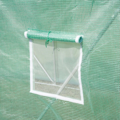 Walk in Polytunnel Garden Greenhouse Window Door Outdoor Plant Flower 6 x 3M