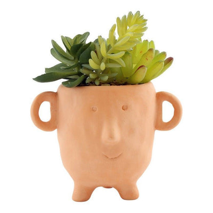 Face Faux Succulent Terracotta - 14cm