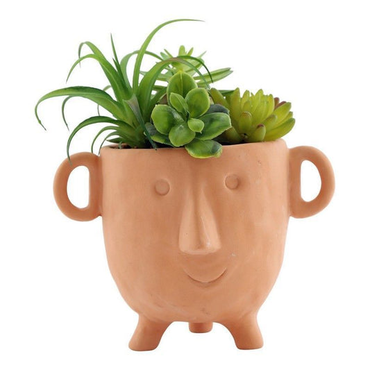 Face Faux Succulent Terracotta - 27cm