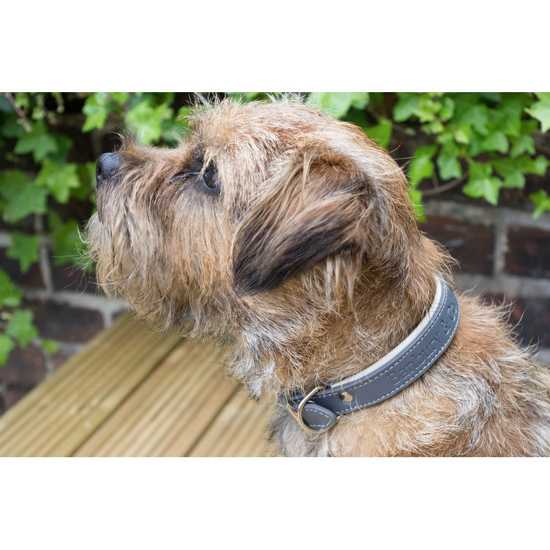 Medium Dog Collar and Lead Brown Faux Leather by Banbury