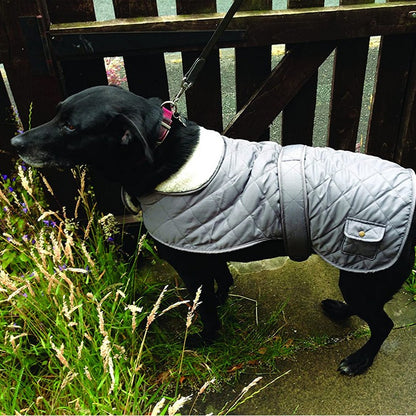 Medium Dog Coat Grey Faux Fur & Faux Leather 43cm by Banbury