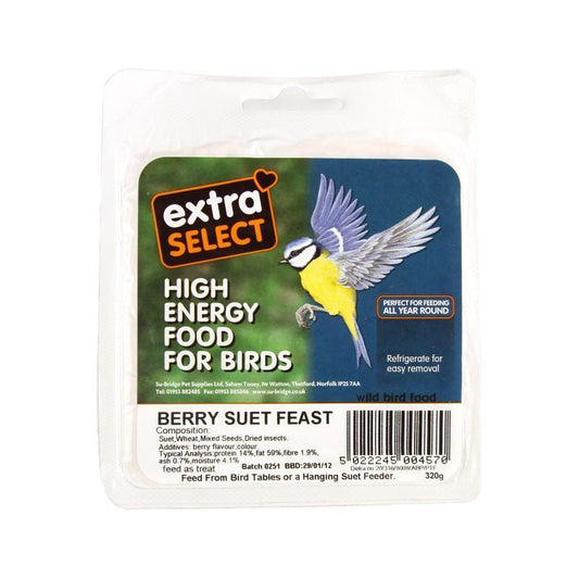 Extra Select Suet Block - Berry