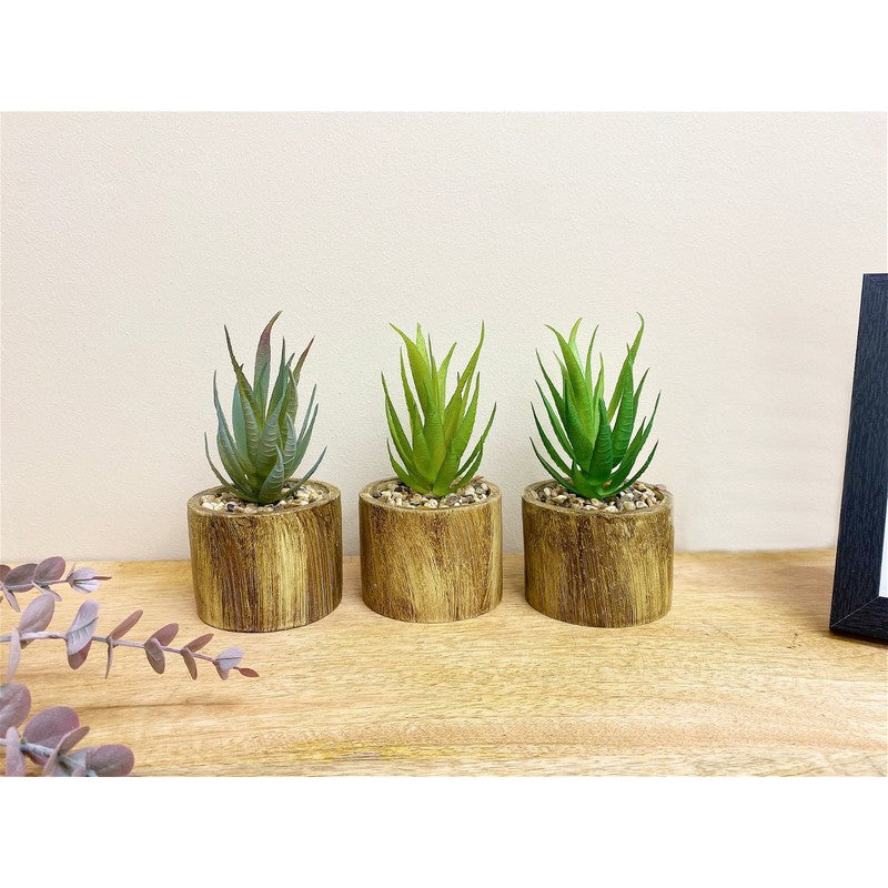 3x Faux Succulent Wood - 7.5cm