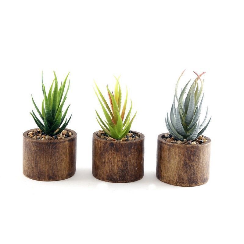 3x Faux Succulent Wood - 7.5cm