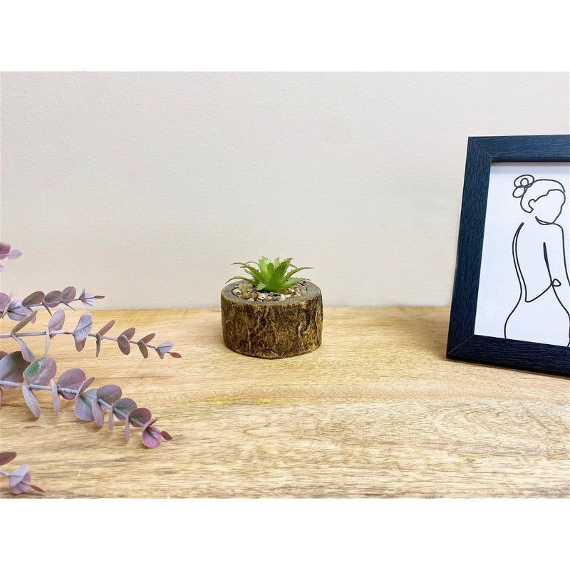 Faux Succulent Wood - 8cm