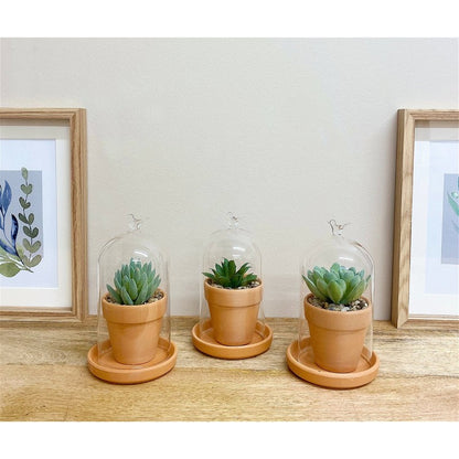 3x Dome Faux Succulent Glass - 15cm