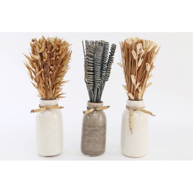 Set Of Three Dried Deco In Vases