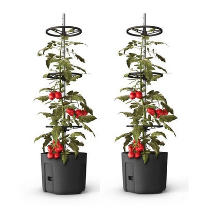 Self-Watering Tomato Pot With Extendable Trellis - 29cm - Twin Pack