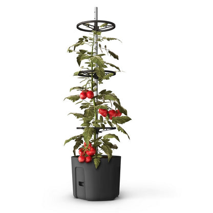 Self-Watering Tomato Pot With Extendable Trellis - 39cm