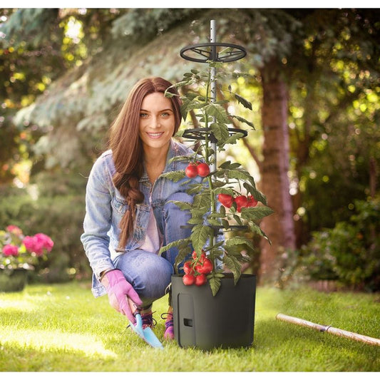 Self-Watering Tomato Pot With Extendable Trellis - 39cm - Twin Pack