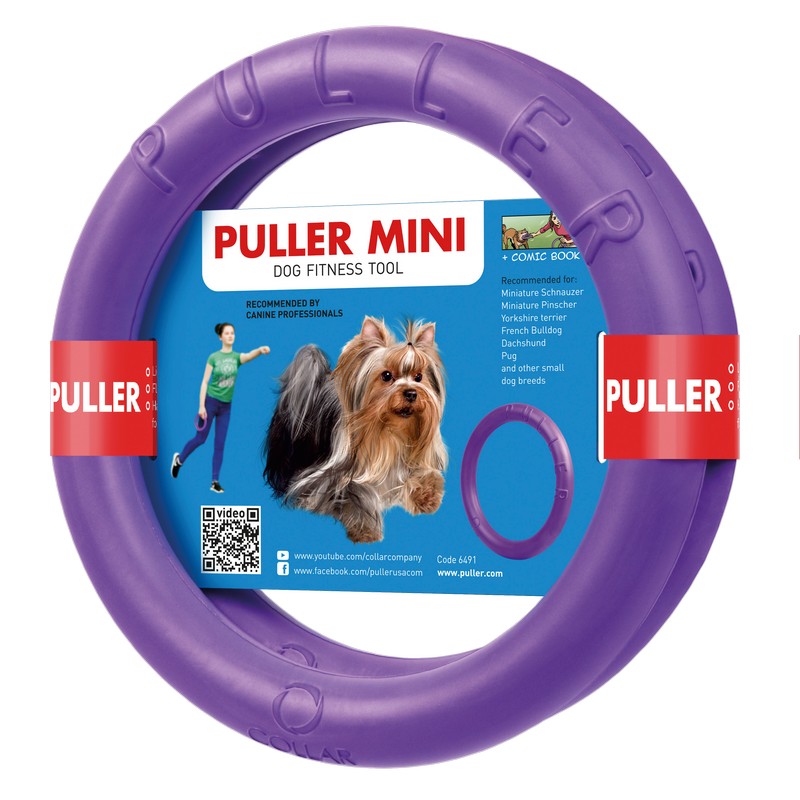 Small Dog Frisbee Purple Plastic 18cm by PULLER